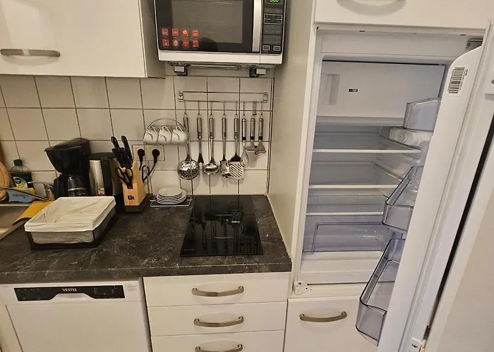 Spacious Fully-equipped Appartamento Vienna